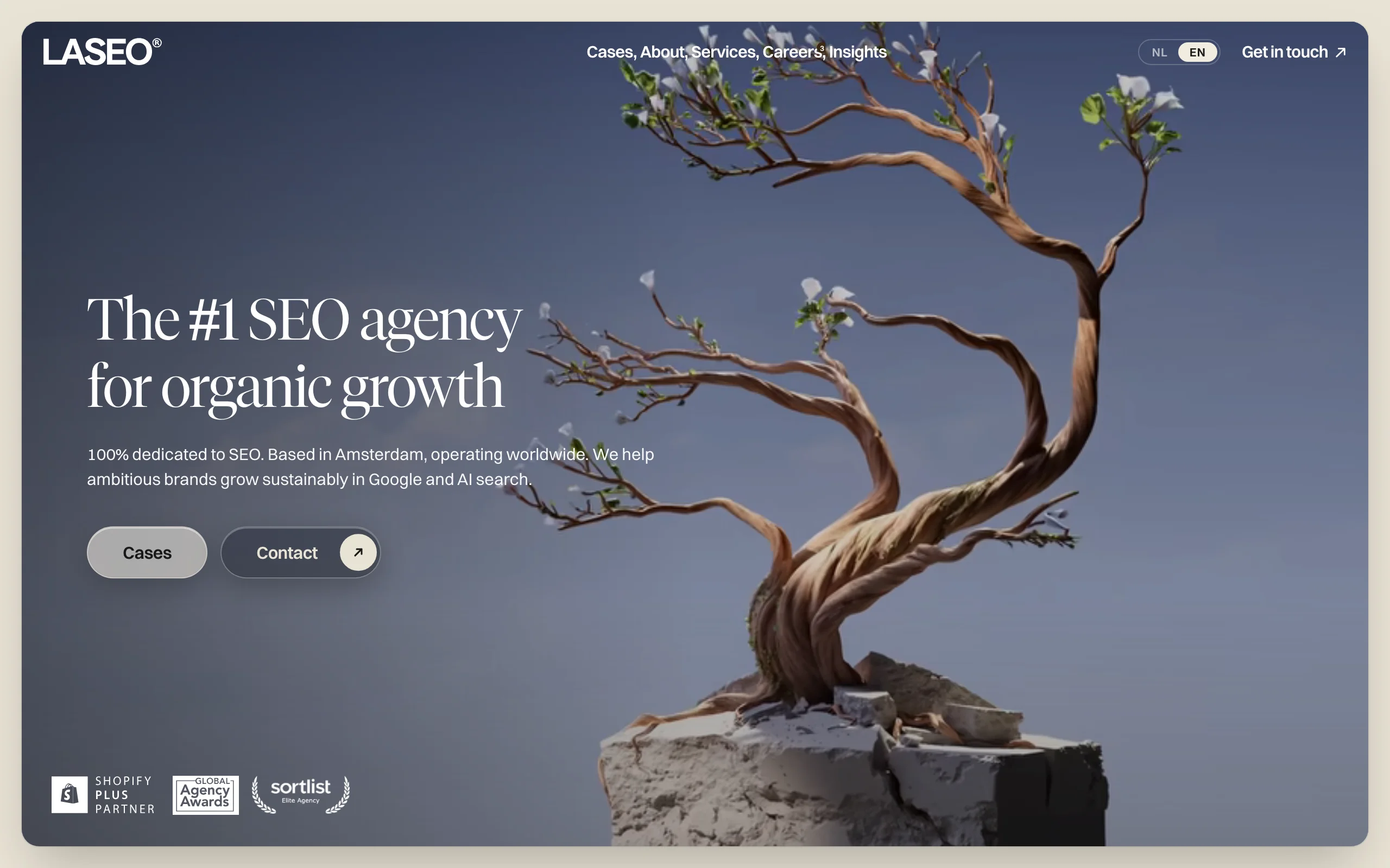 SEO Agency in Amsterdam with LASEO