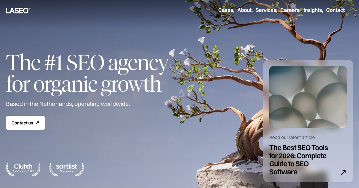 LASEO homepage screenshot